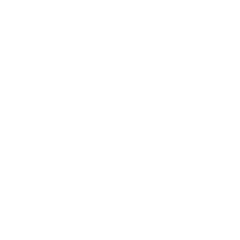 交易日历