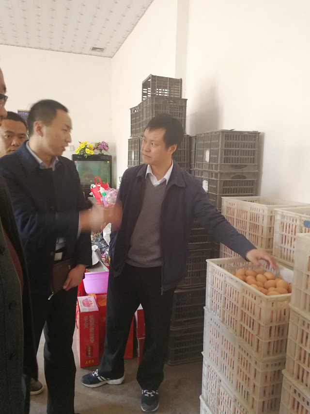深入农户调研_副本.jpg